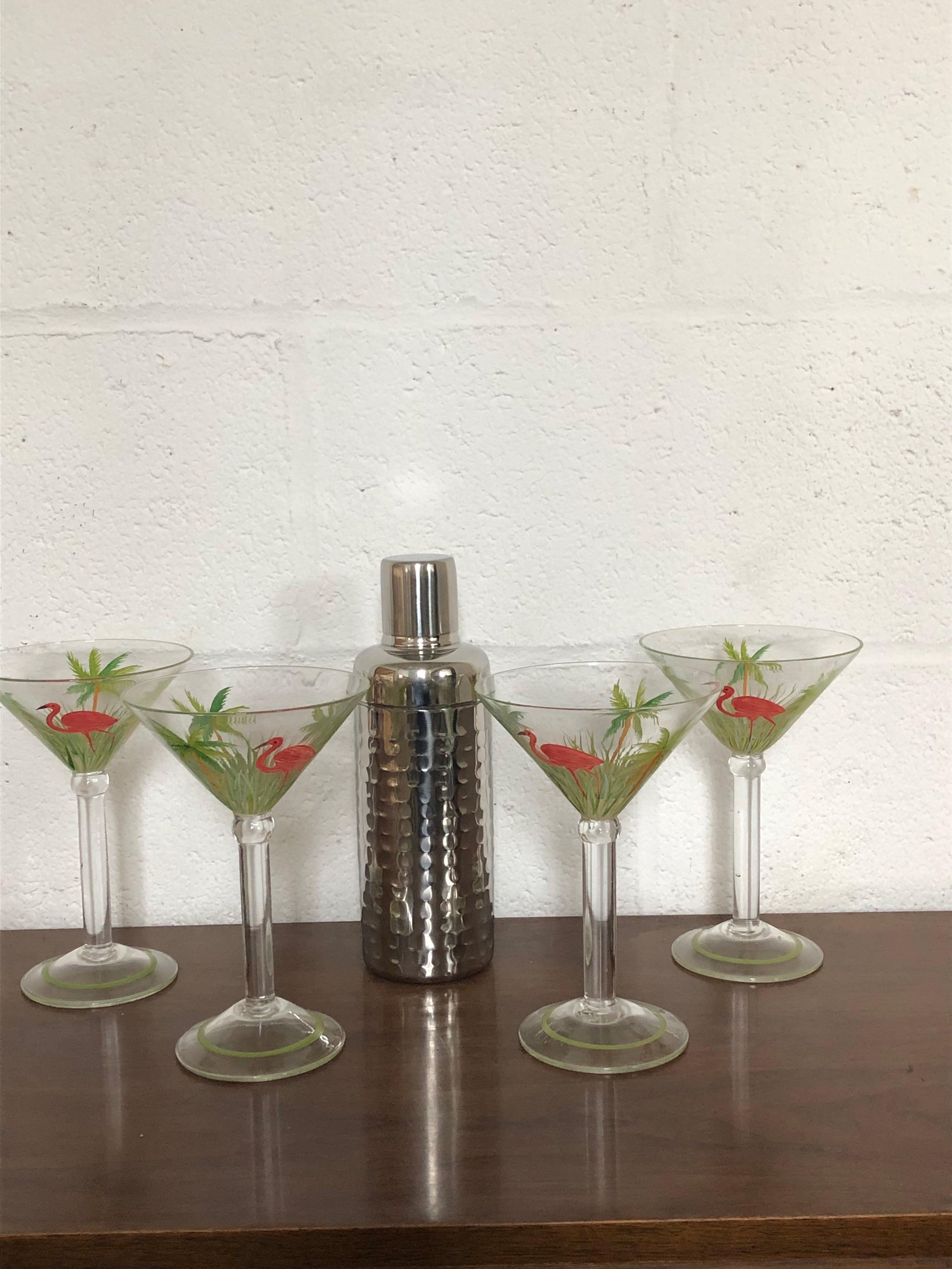 Martini Set with 4 Glasses & Shaker